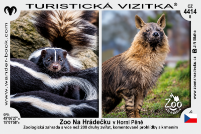 suvenýr